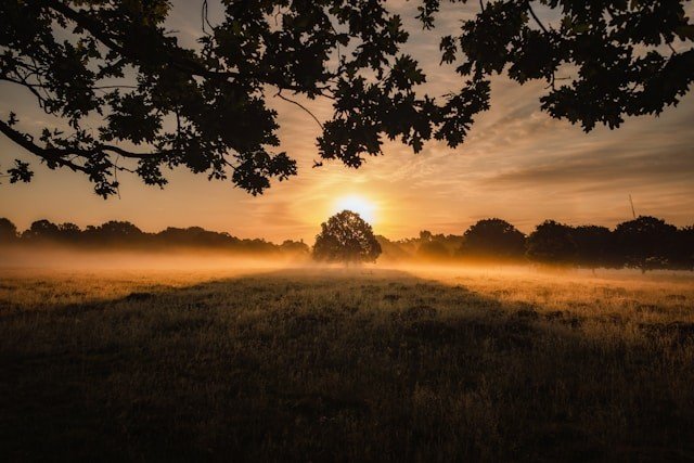 How to Find the Best Spiritual Awakening Mentor for Your Journey