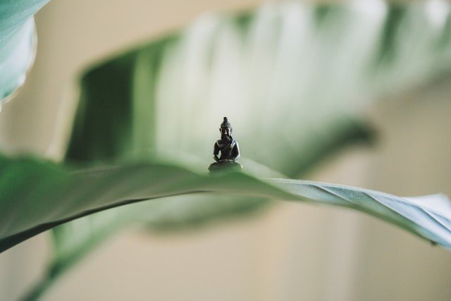 Finding Balance with Spiritual Mentoring near Boulder, CO